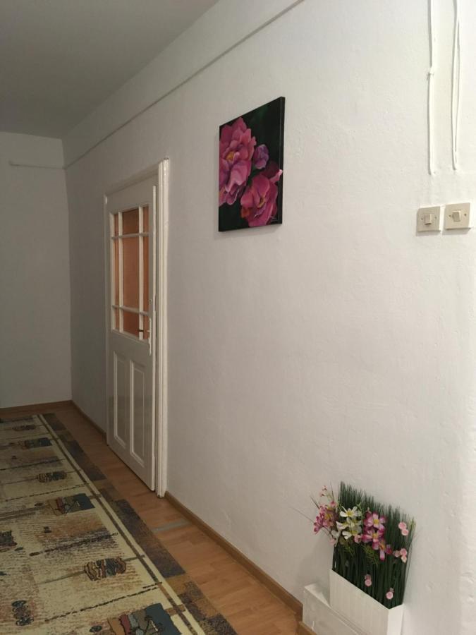 锡比乌House Centrul Istoric Ll公寓 外观 照片